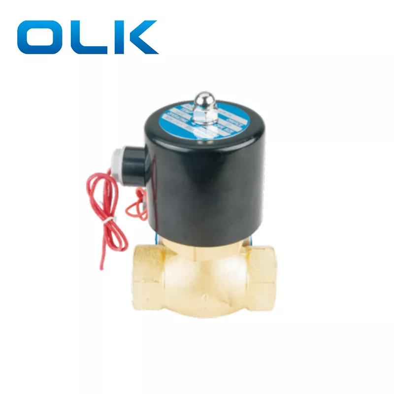 2L 2-suunaline auru solenoidklapp